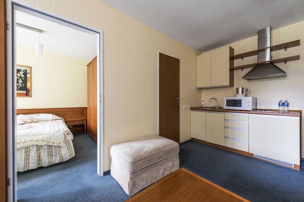 Apartment, 1 Bedroom photo 2