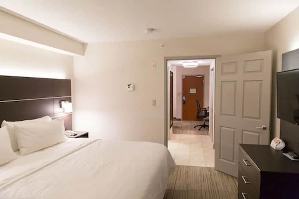 Suite, 1 King Bed with Sofa bed