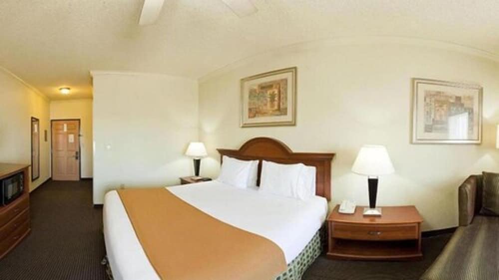 Standard Room, 1 King Bed, Accessible (Communications, Roll-In Shower) - Photo 4