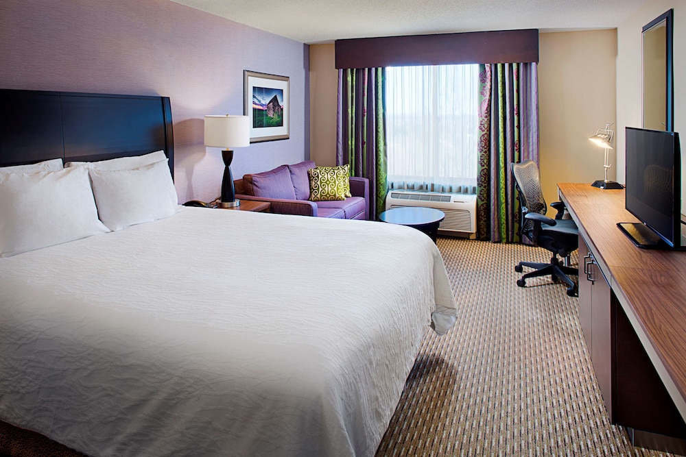 Room, 1 King Bed, Accessible (Roll-In Shower) - Photo 3