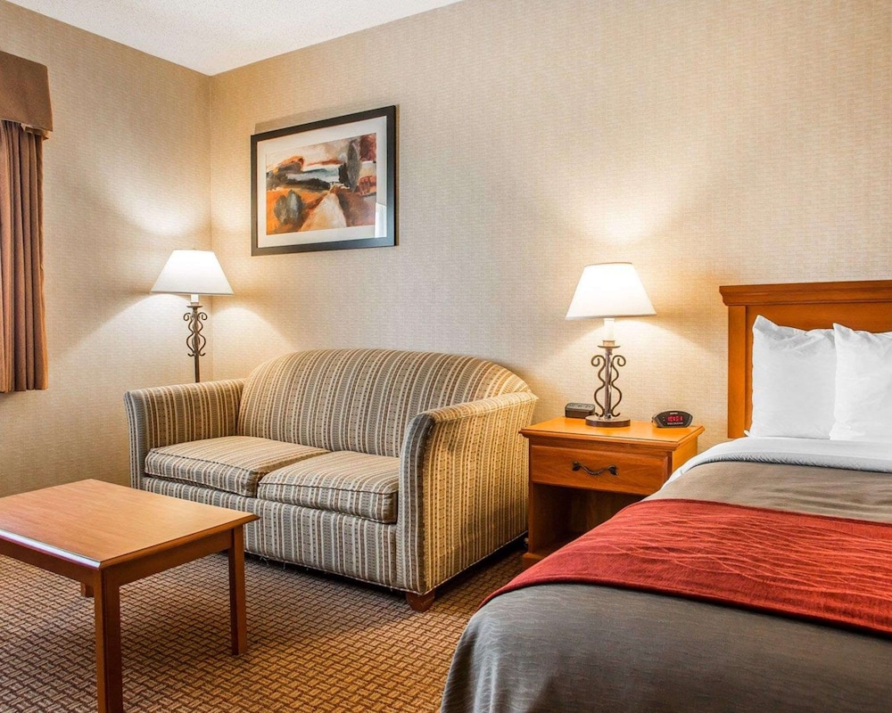 Standard Room, 1 King Bed, Non Smoking - Photo 5