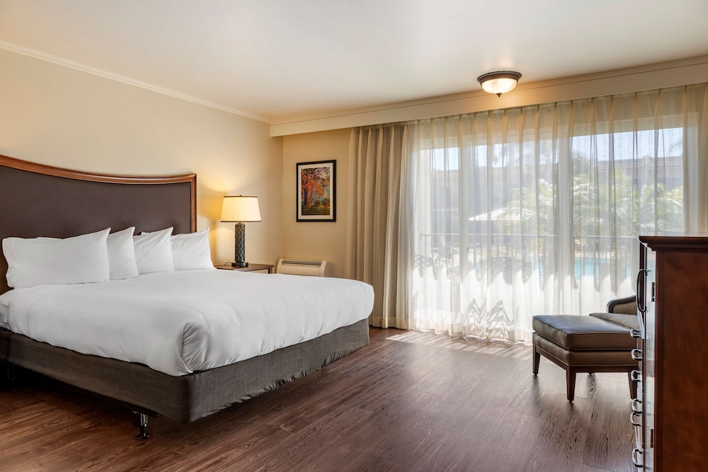 Standard Room, 1 King Bed, Accessible (View) photo 1