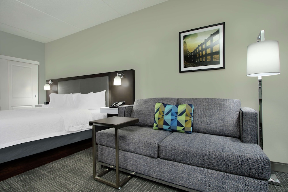 Suite, 1 King Bed, Non Smoking photo 1