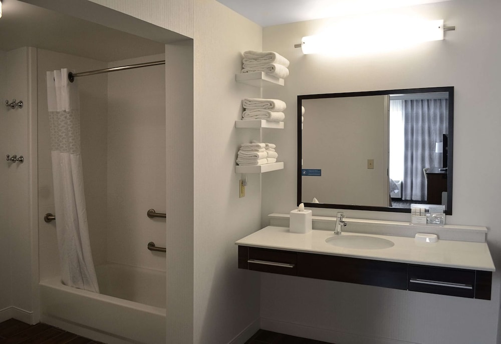Suite, 1 King Bed, Accessible, Bathtub (Mobility & Hearing) - Photo 3