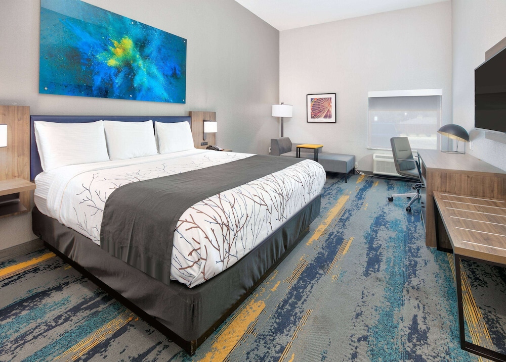 Studio Suite, 1 King Bed with Sofa bed, Accessible, Non Smoking (Mobility,Hearing,Tub w/Grab Bars,) - Photo 3