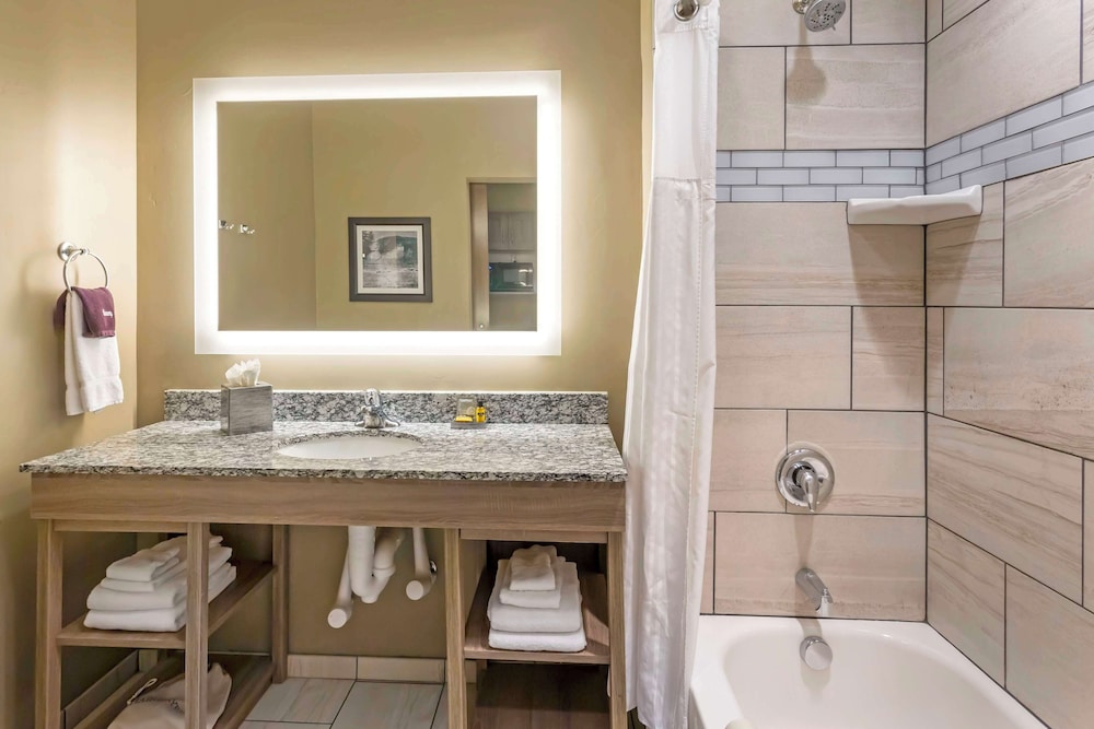 Standard Room, 1 King Bed, Non Smoking, Refrigerator & Microwave (Pet Friendly) photo 3