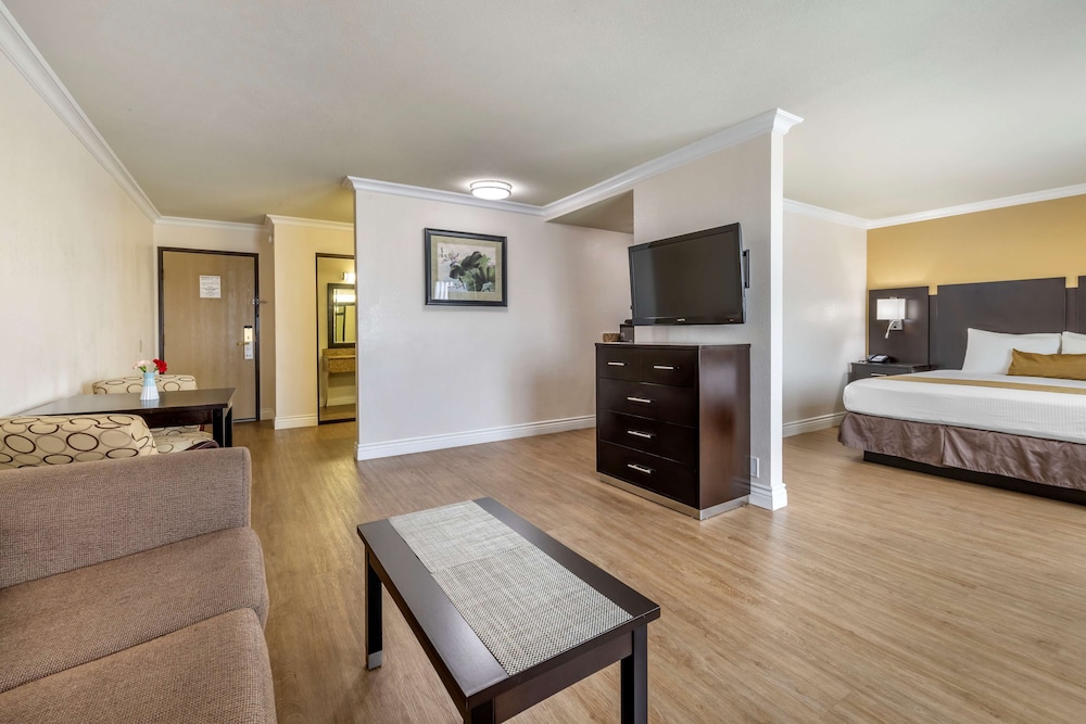 Studio Suite, 1 King Bed, Non Smoking - Photo 2