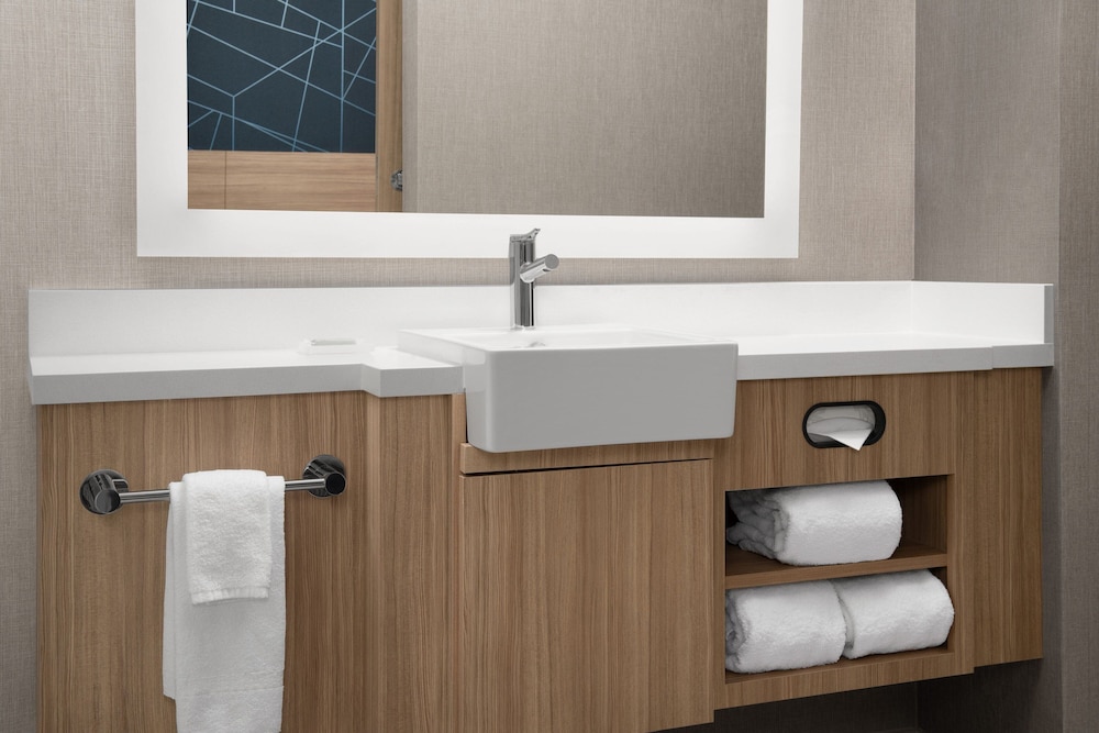 Suite, 1 King Bed (Mobility Accessible, Roll-In Shower) - Photo 5