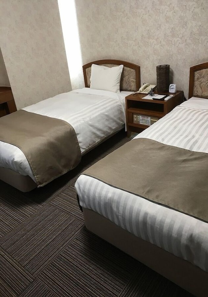 Non-Smoking Twin Room photo 3