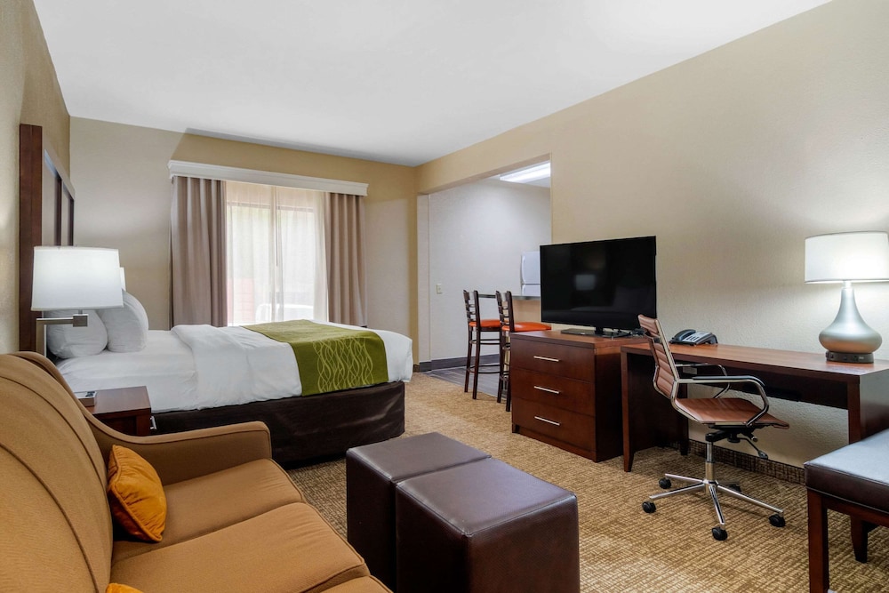 Suite, 1 King Bed with Sofa bed, Non Smoking (Efficiency) - Photo 1