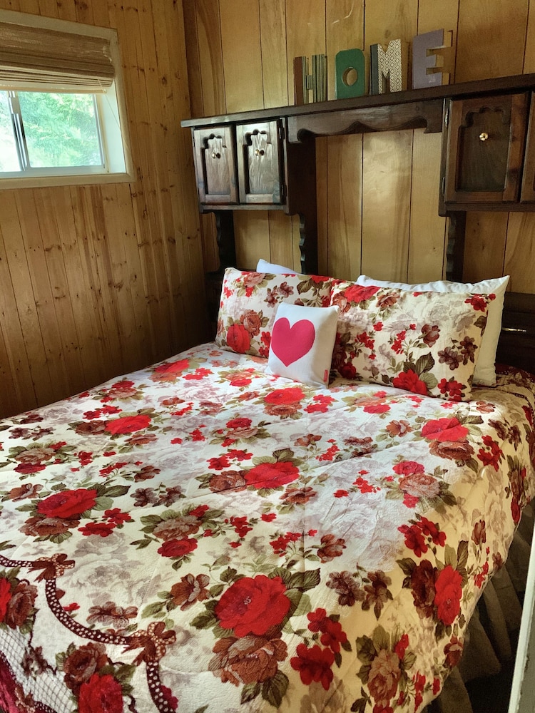 Family Cabin photo 3