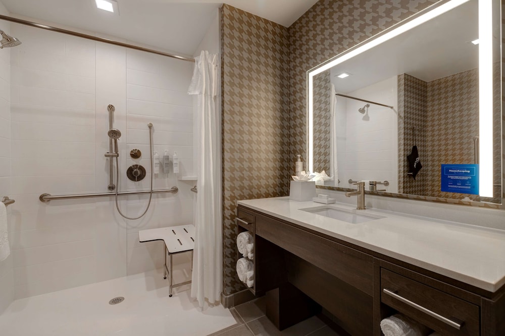 Studio, 1 King Bed, Accessible (Roll-In Shower) - Photo 5