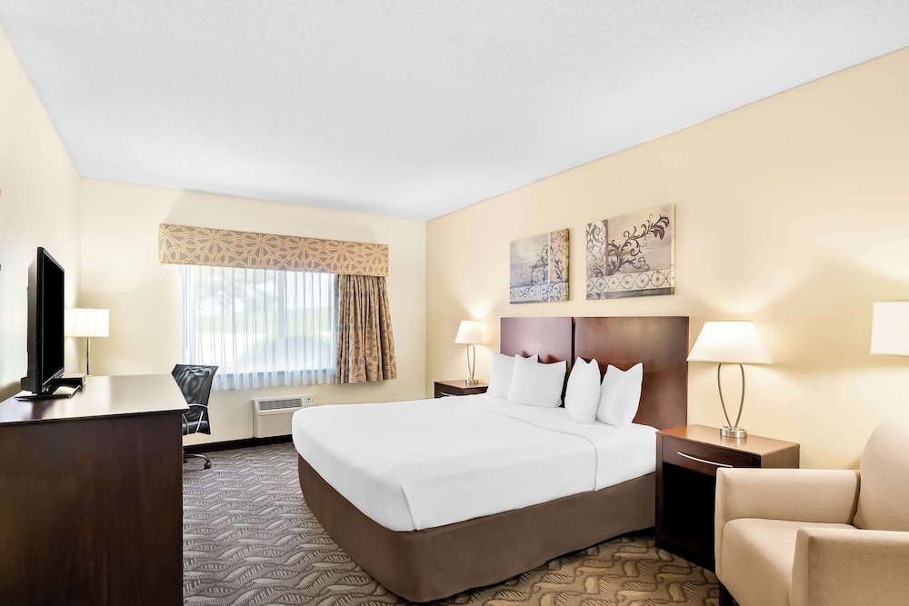 Suite, 1 King Bed, Non Smoking, Refrigerator & Microwave (with Sofabed)