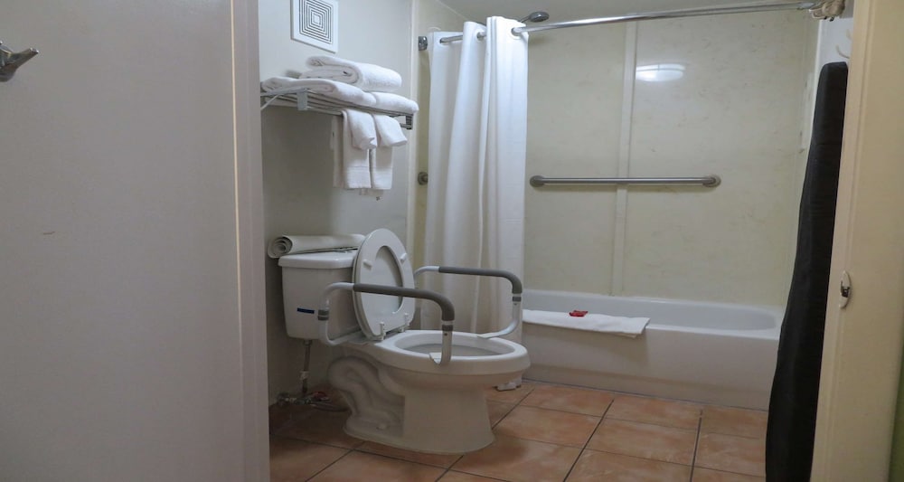 Suite, 1 King Bed, Accessible, Kitchen (with Sofabed) - Photo 6