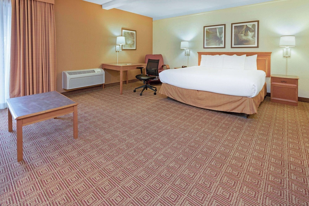 Deluxe Suite, 1 King Bed, Non Smoking photo 1
