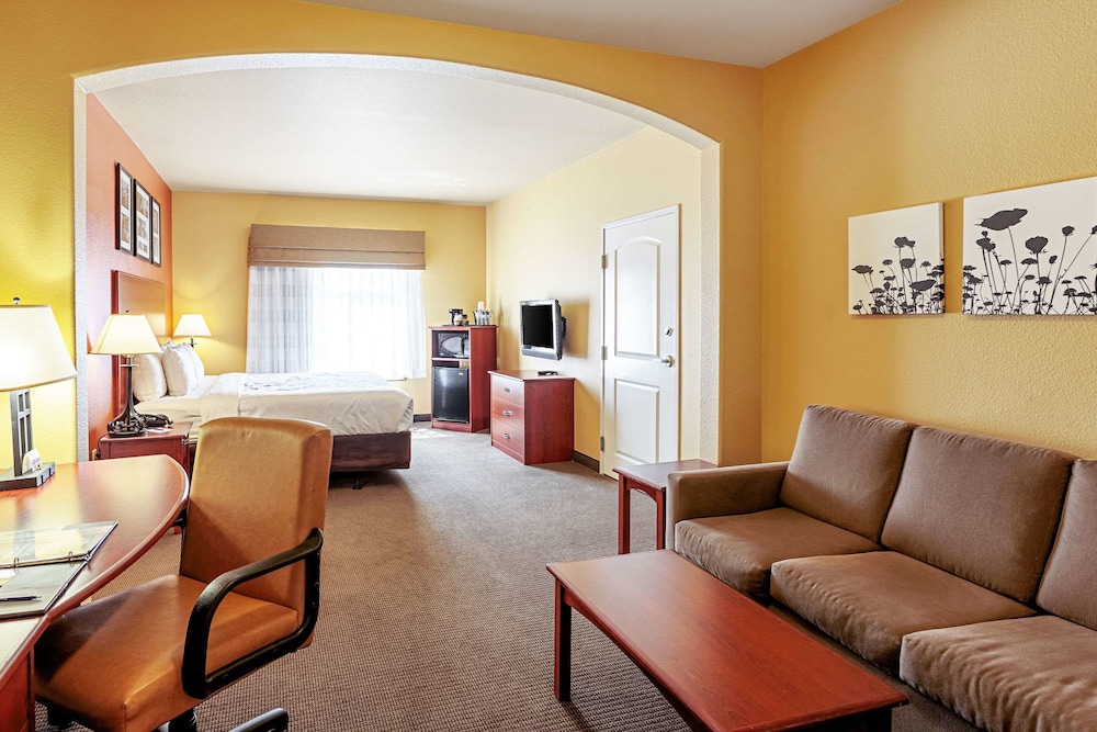Suite, 1 King Bed with Sofa bed, Accessible, Non Smoking - Photo 2