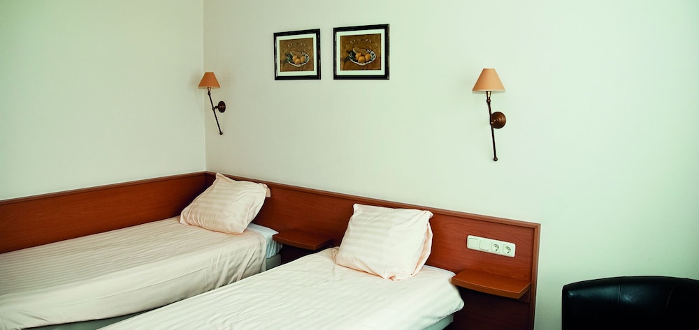 Comfort Double Room photo 3