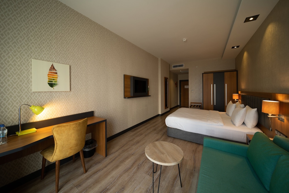 Premium Room, 1 King Bed with Sofa bed, Non Smoking - Photo 1