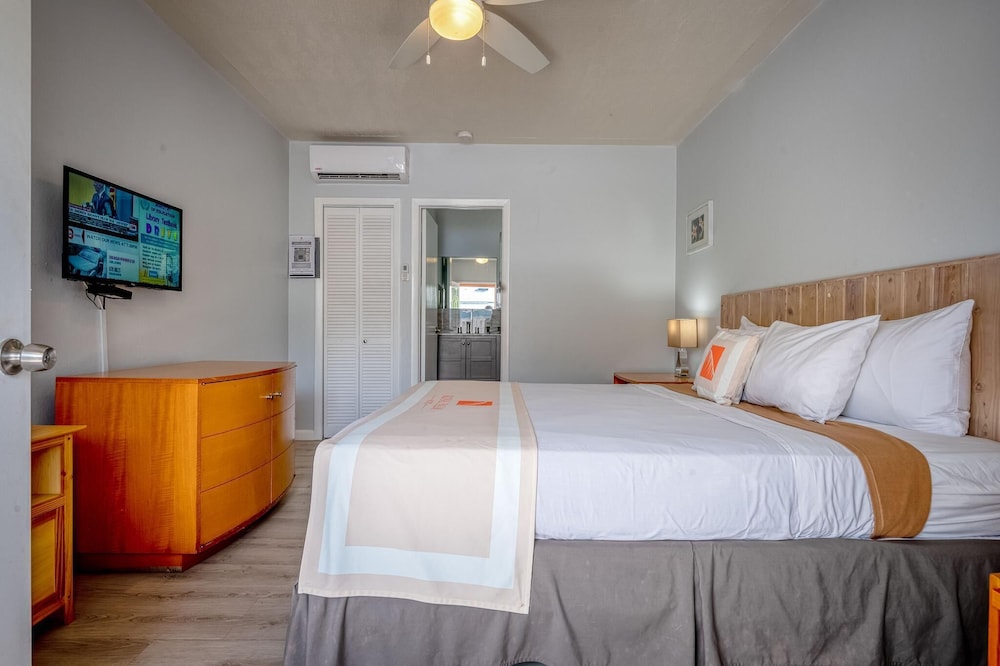 Basic Room, 1 King Bed, Non Smoking, Garden View photo 2