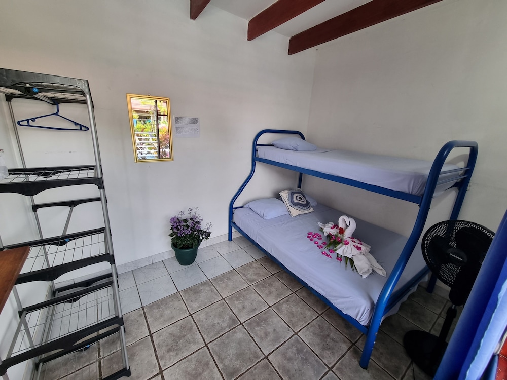 Basic Double Room photo 1