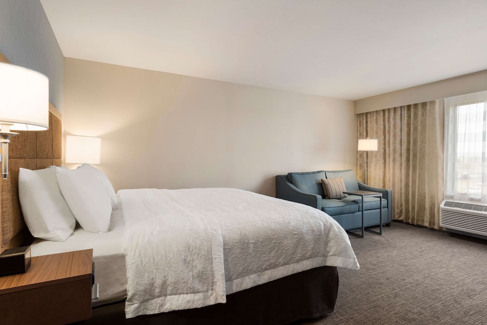 Room, 1 King Bed, Accessible (Walk-In Shower) photo 3