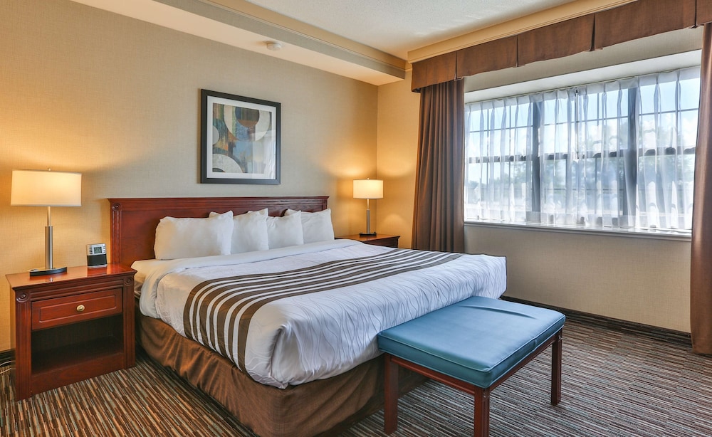 Suite, 1 King Bed, Non Smoking, Refrigerator & Microwave (with Sofabed) - Photo 3