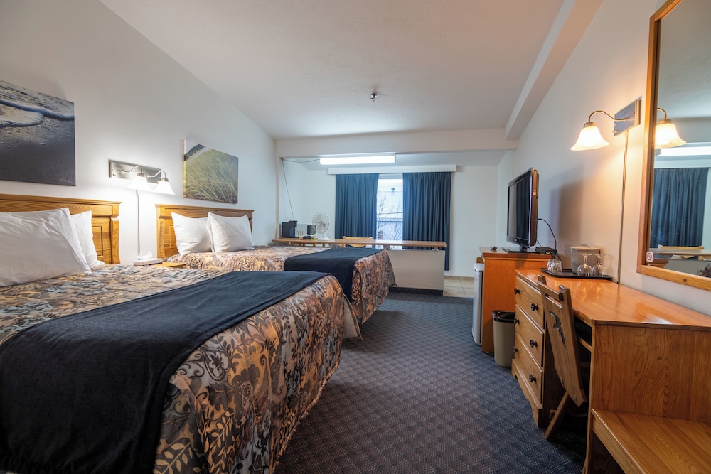 Comfort Quadruple Room, 2 Double Beds photo 3