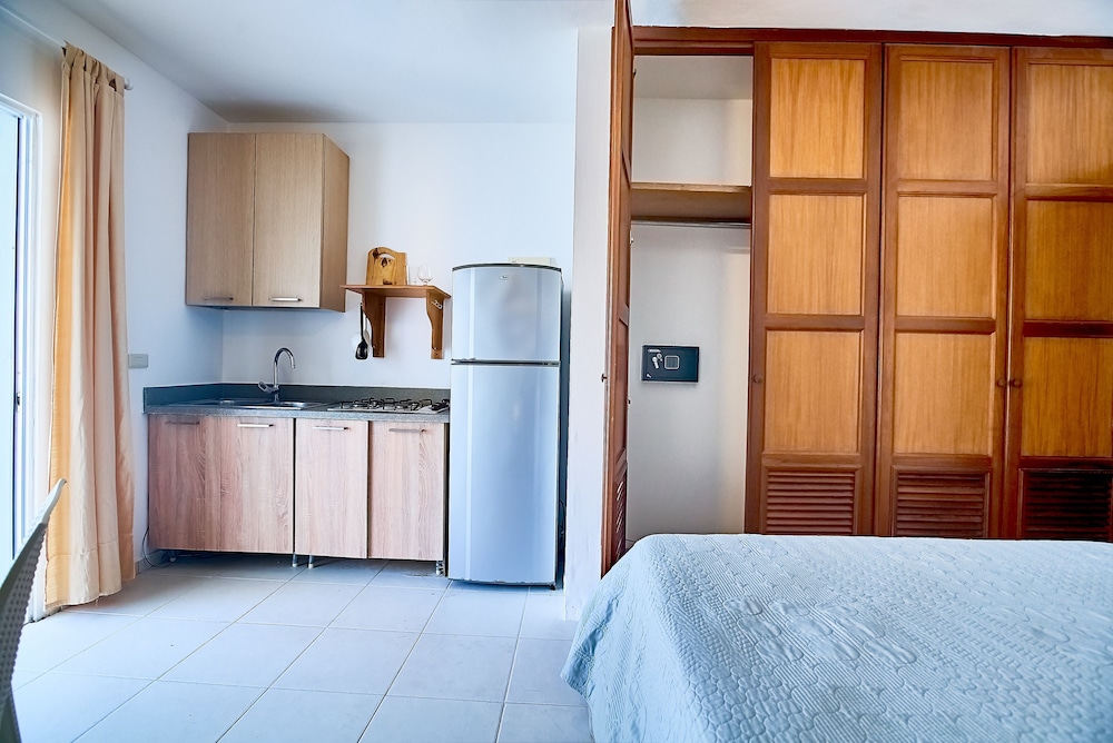Classic Apartment, 1 King Bed with Sofa bed, Pool View