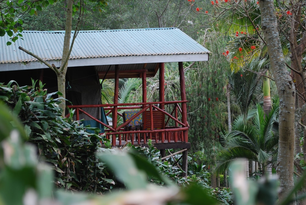 Basic Tree House, 1 Double Bed, Lake View