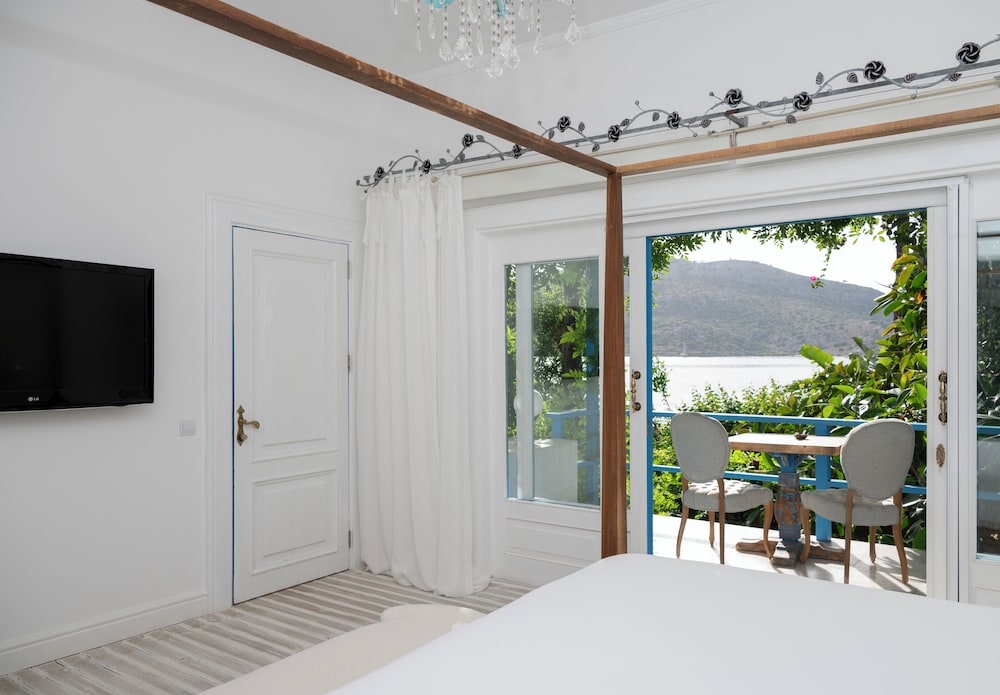 Luxury Suite (Portakal)