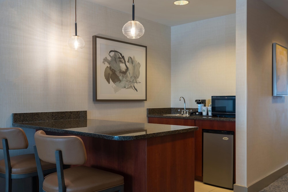Executive Suite, 1 King Bed with Sofa bed