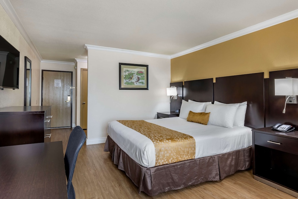 Standard Room, 1 King Bed, Non Smoking, Refrigerator - Photo 2