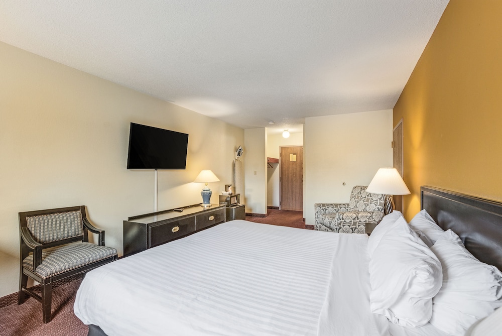 Suite, 1 King Bed, Non Smoking - Photo 1