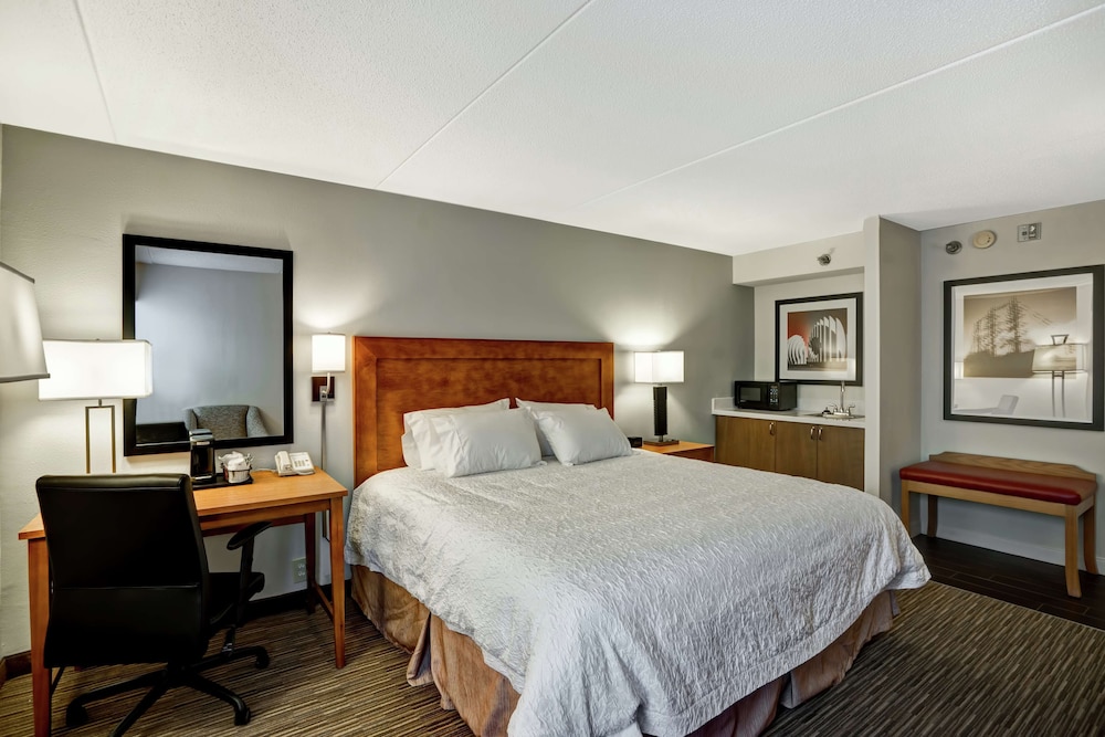 Room, 1 King Bed, Accessible, Refrigerator & Microwave (Hearing, Wet Bar) photo 1