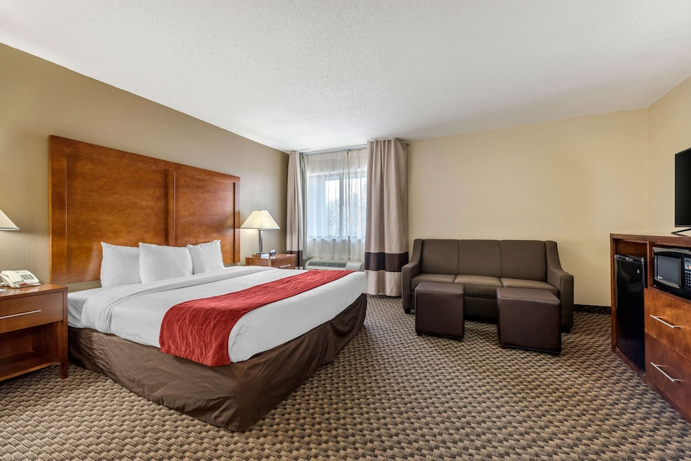 Suite, 1 King Bed, Non Smoking - Photo 1