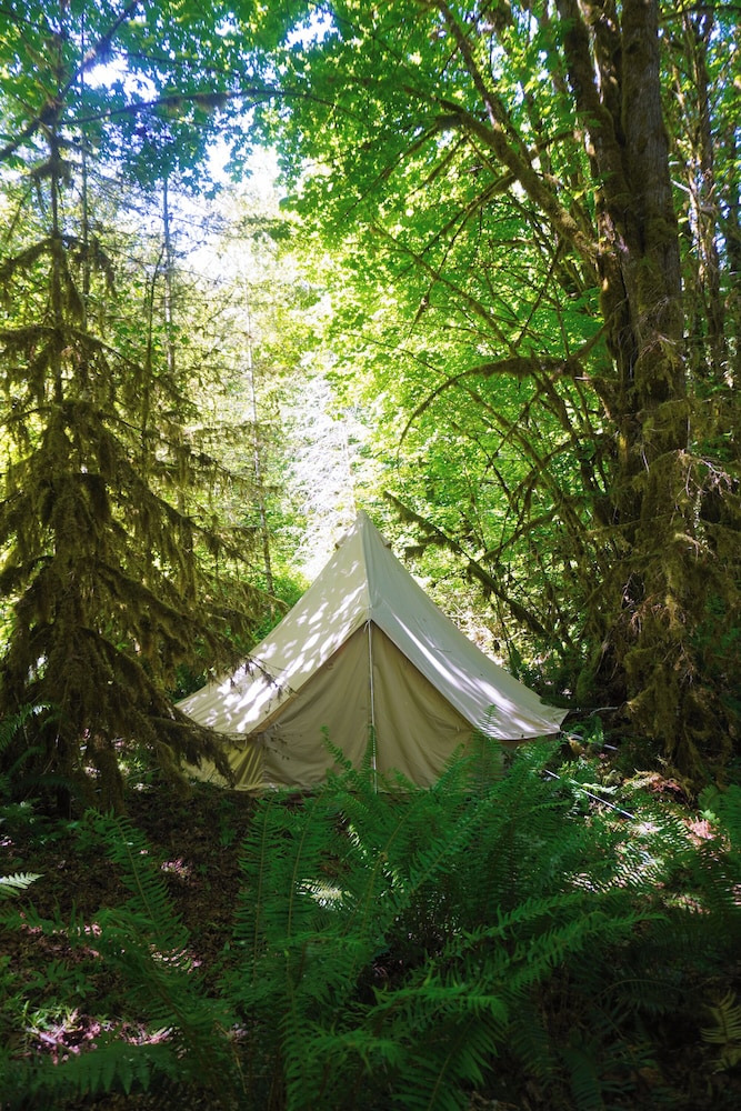 Tent, 3 Twin Beds, Shared Bathroom photo 3