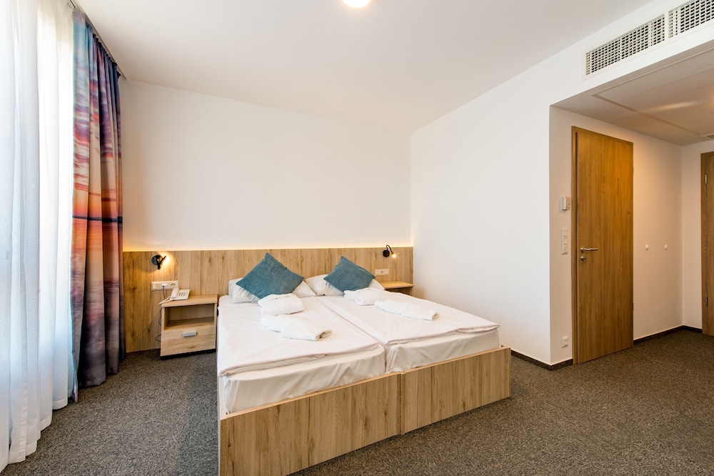 Business Double Room, 1 Bedroom, Terrace photo 3