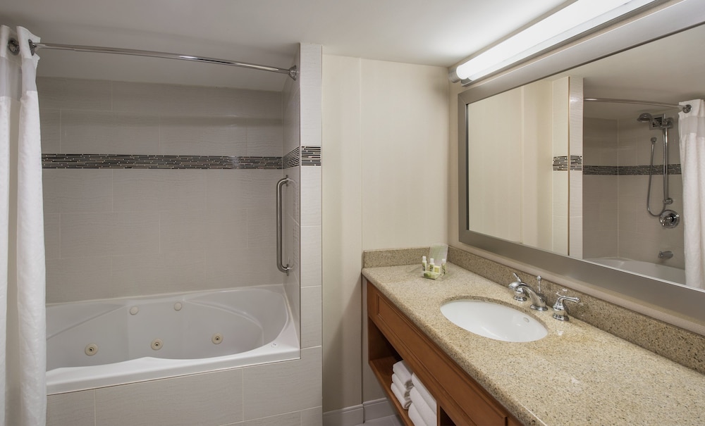 Suite, 1 Bedroom, City View (1 King Bed, Living/Dining Area)