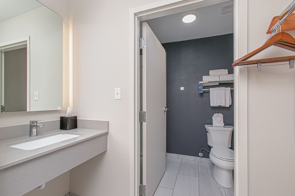 Room, 1 King Bed (Mobility/Hearing Access, Roll-In Shwr) - Photo 9