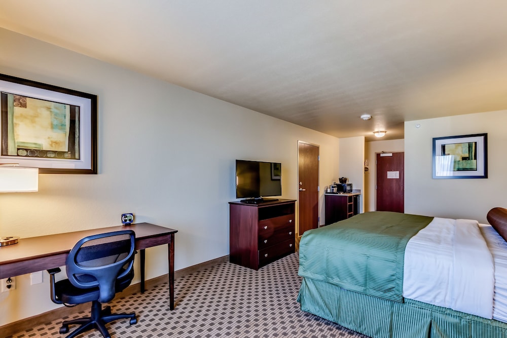 Room, 1 King Bed, Non Smoking photo 2