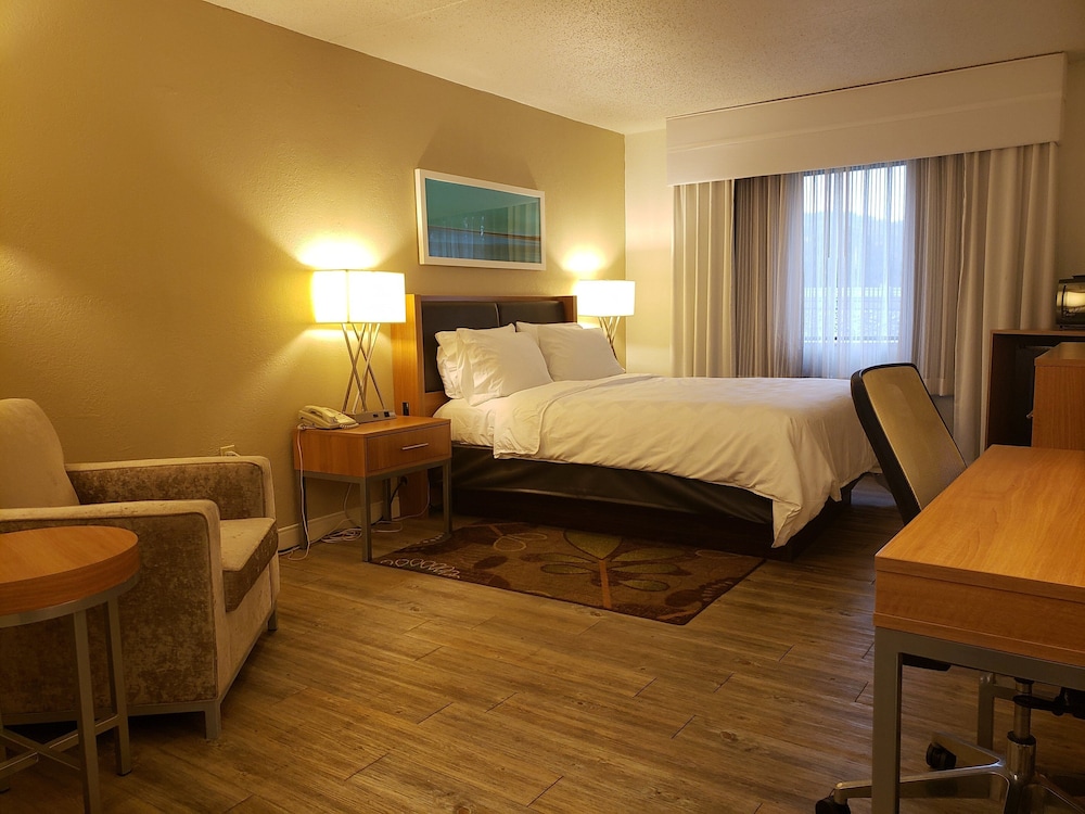 Standard Room, 1 Queen Bed, Accessible, Bathtub (Mobility) - Photo 7