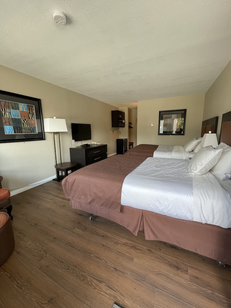Standard Twin Room photo 1