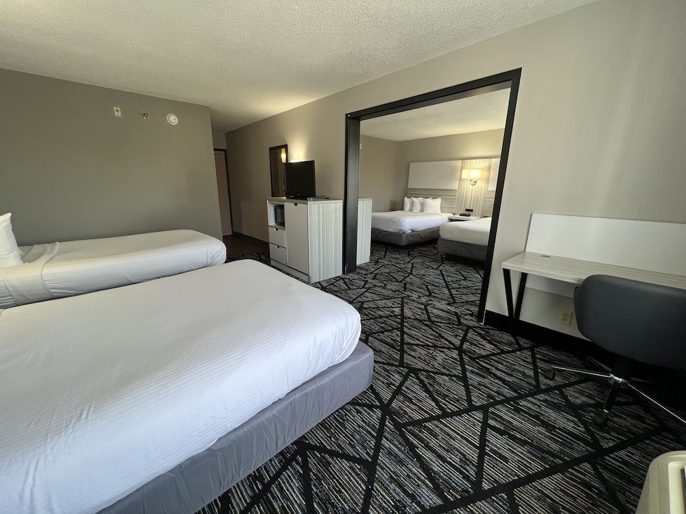 Studio Suite, Multiple Beds, Non Smoking photo 2