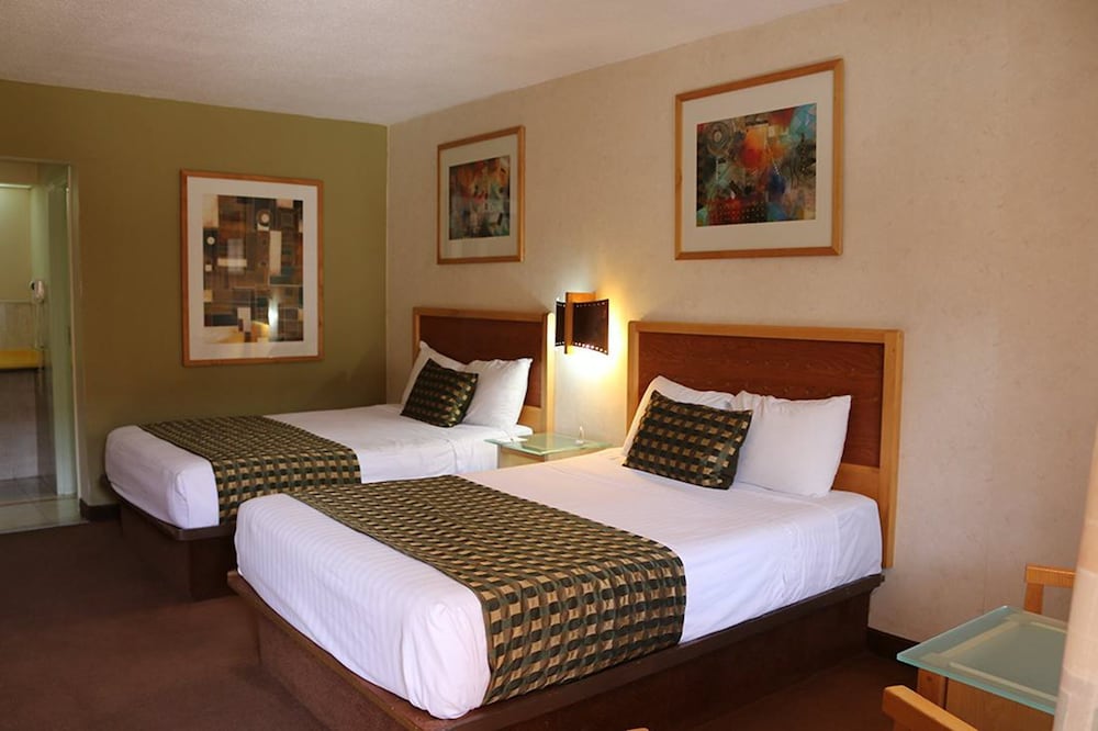 Standard Double Room - Photo 1