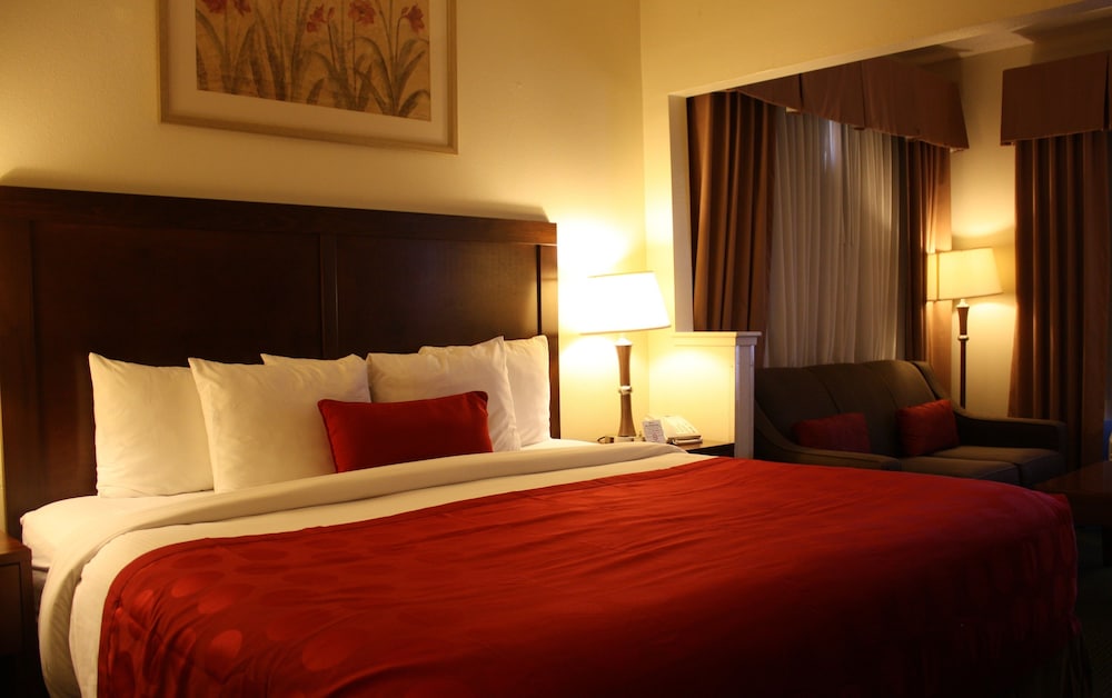 Suite, 1 Bedroom, Accessible, Non Smoking - Photo 8