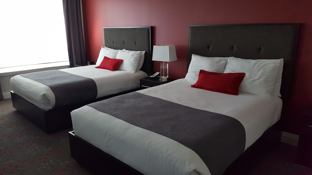 Studio, 2 Queen Beds