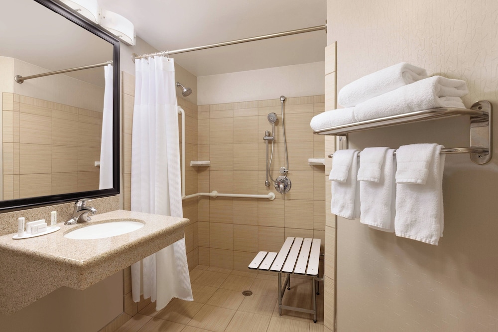 Studio, 1 King Bed (Mobility/Hearing Access, Roll-in Shwr)