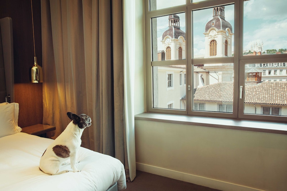 Premium Room, 1 King Bed, Courtyard View - Photo 4