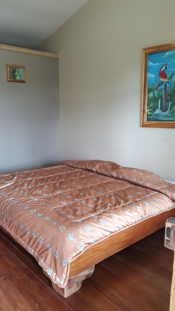 Basic Room, Non Smoking, Mountain View photo 2