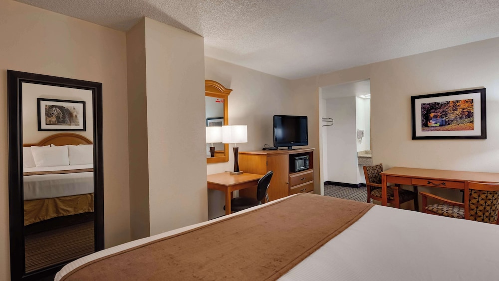 Standard Room, 1 King Bed, Non Smoking, Refrigerator & Microwave photo 2